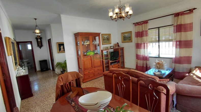 Malaga - Torrox - 336m2