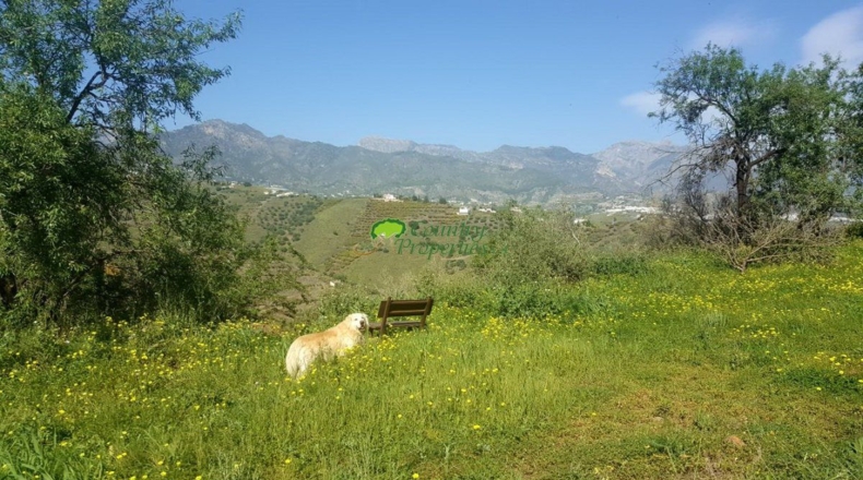 Málaga - Torrox - 5514m2