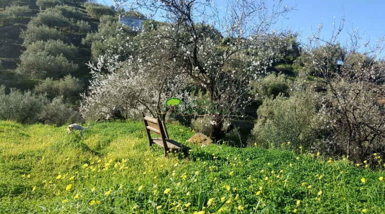 Málaga - Torrox - 5514m2