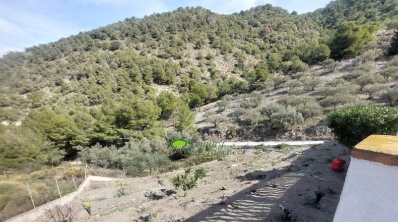 Málaga - Torrox - 1476m2