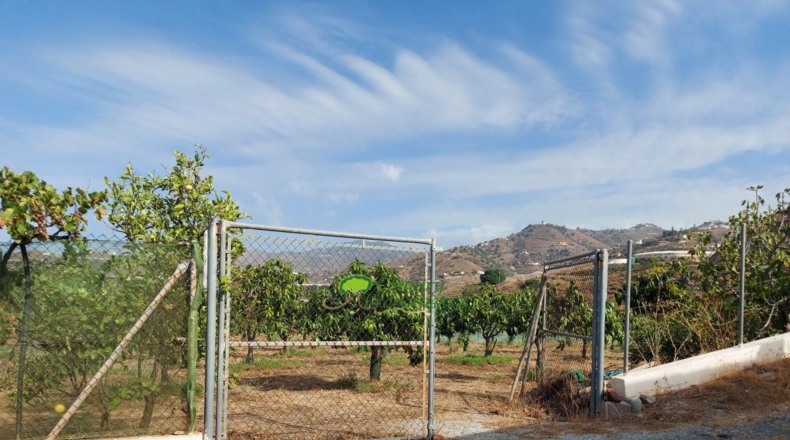 Málaga - Vélez-Málaga - 10700m2
