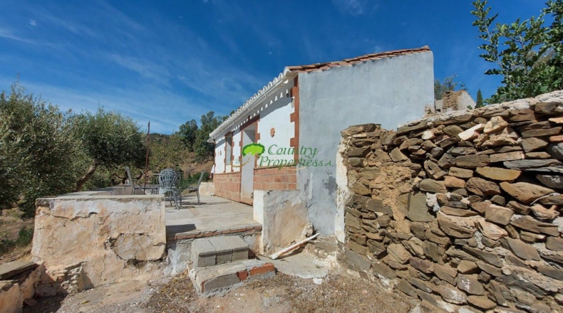 Málaga - Cómpeta - 12355m2
