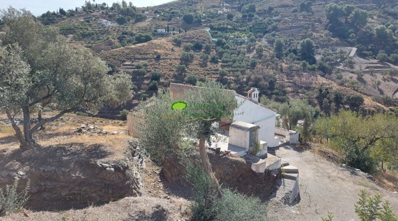 Málaga - Cómpeta - 12355m2