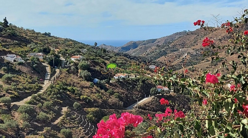 Málaga - Cómpeta - 12355m2