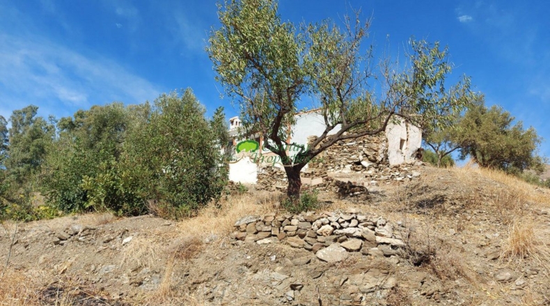 Málaga - Cómpeta - 12355m2