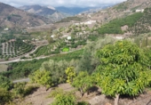 Casa de camp amb terreny en venda a Torrox ref.: TR182328 foto