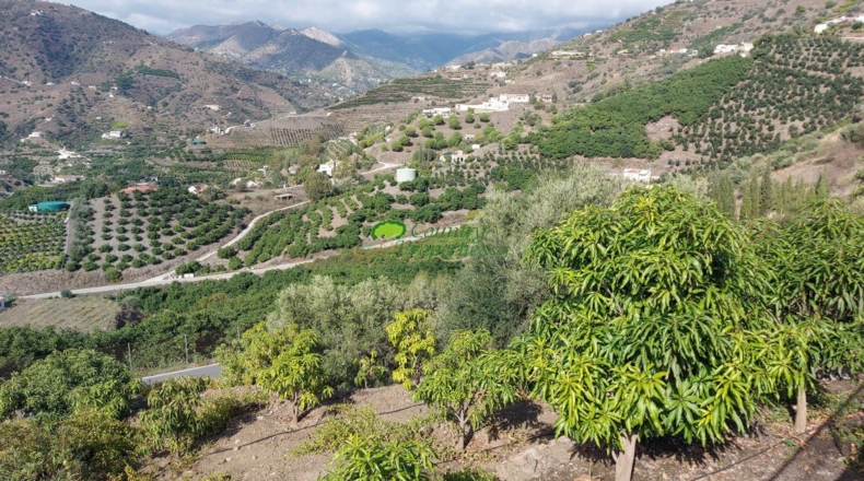 Málaga - Torrox - 3667m2