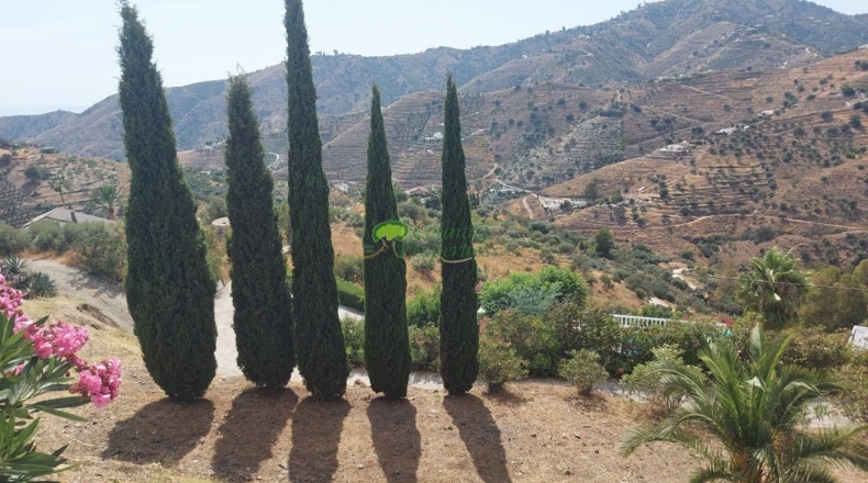 Málaga - Torrox - 5000m2