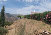 Casa de camp amb terreny en venda a Torrox ref.: TR326881 foto