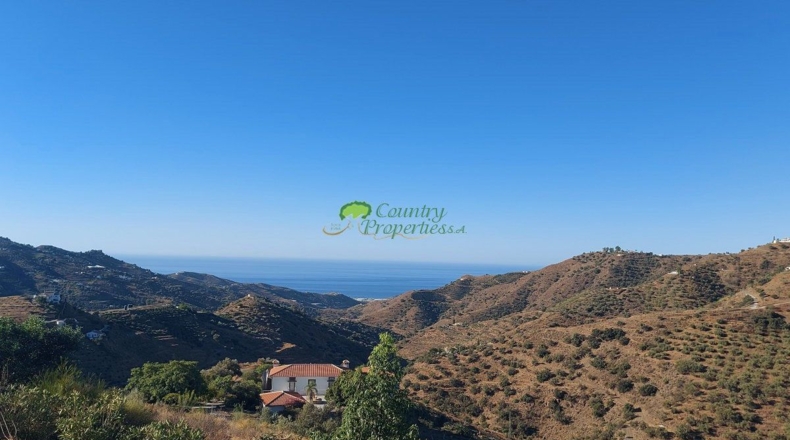Málaga - Cómpeta - 23335m2