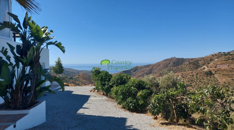 Málaga - Cómpeta - 23335m2