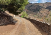 Country house with land for sale in Vélez-Málaga ref: TR352637 photo