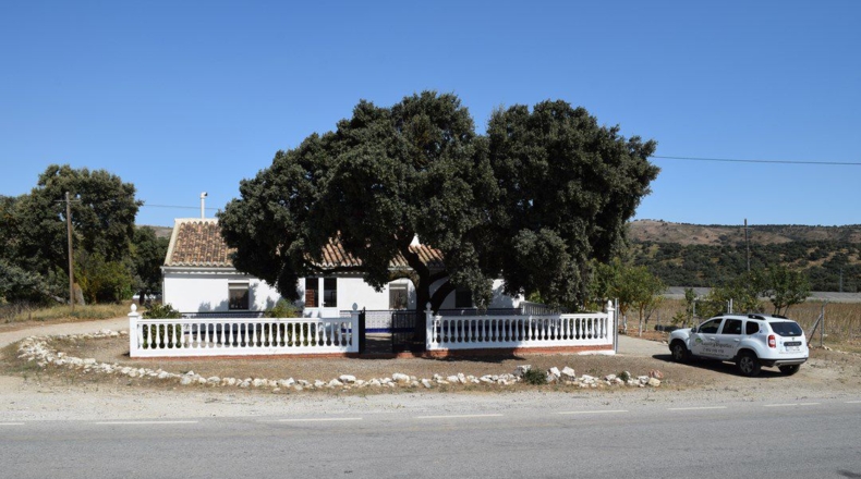Granada - Ventas de Zafarraya - 50000m2