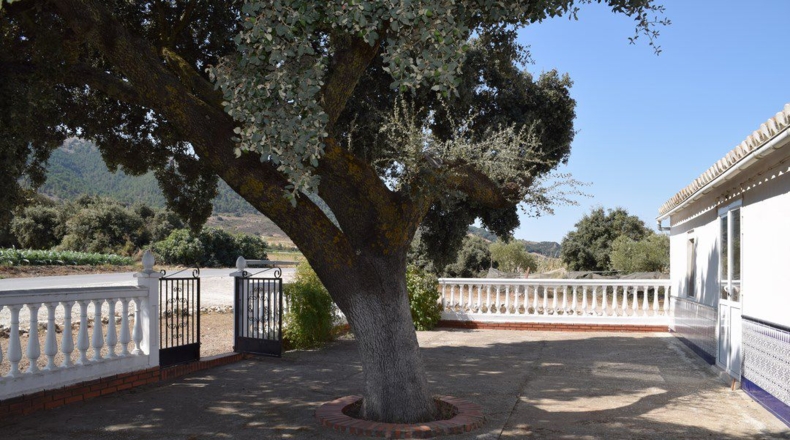 Granada - Ventas de Zafarraya - 50000m2