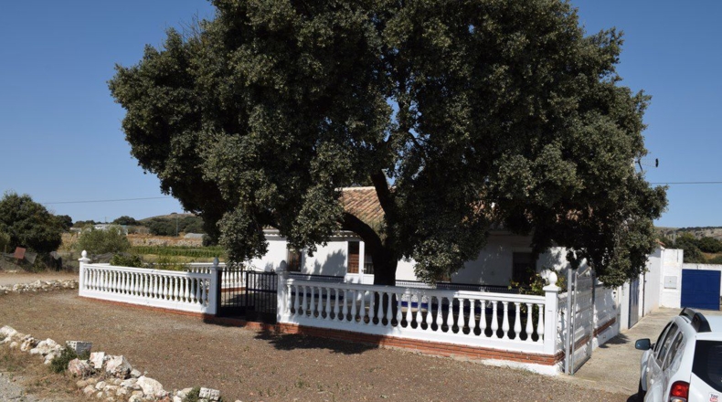 Granada - Ventas de Zafarraya - 50000m2