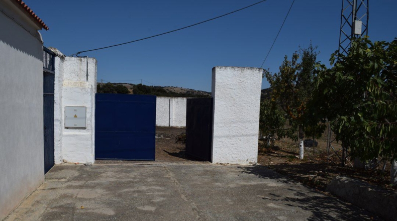 Granada - Ventas de Zafarraya - 50000m2
