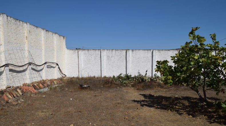 Granada - Ventas de Zafarraya - 50000m2
