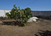 Загородный дом с участком на продажу в городе Alhama de Granada. Фото