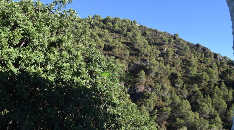 Málaga - Acebuchal - 376m2