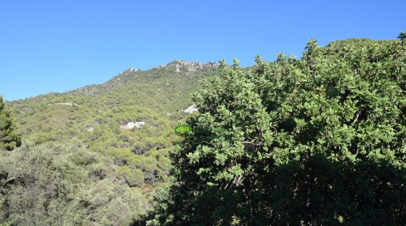 Málaga - Acebuchal - 376m2