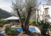Casa de camp amb terreny en venda a Sayalonga ref.: TR50795 foto