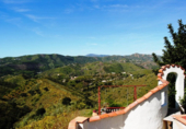 Country house with land for sale in Canillas de Aceituno ref: TR200763 photo