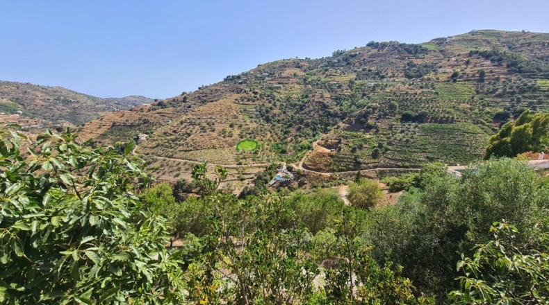 Málaga - Cómpeta - 10191m2