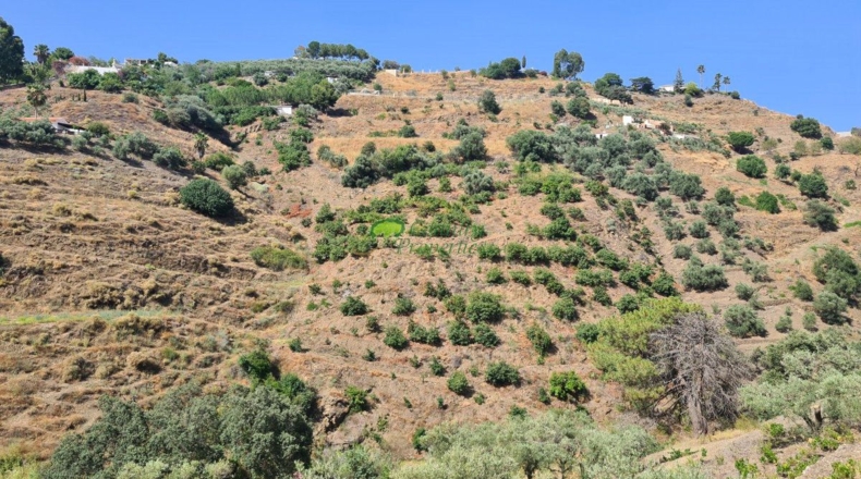 Málaga - Cómpeta - 10191m2