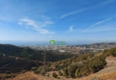 Casa de camp amb terreny en venda a Torrox Park ref.: TR254417 foto