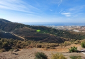 Casa de camp amb terreny en venda a Torrox Park ref.: TR254418 foto