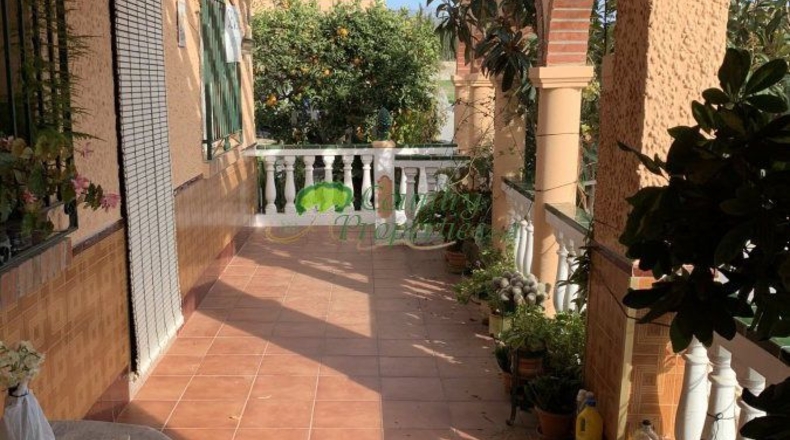 Málaga - Torrox - 1187m2