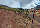 Finca rústica en venda a San Cristóbal de La Laguna ref.: TR188643 foto