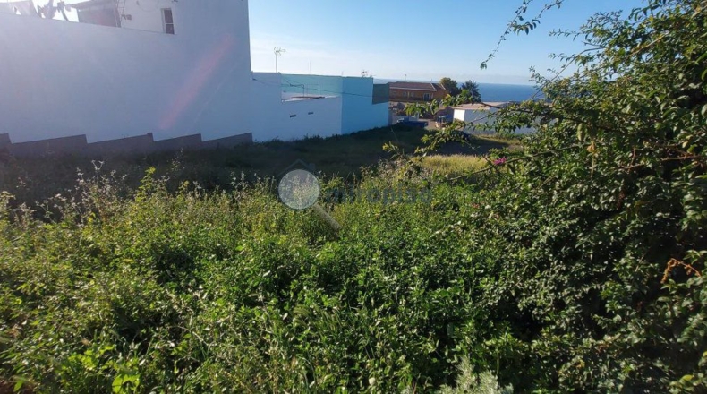 Santa Cruz de Tenerife - San Cristóbal de La Laguna - 902m2