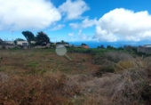 Sòl urbà en venda a Tacoronte ref.: TR110692 foto
