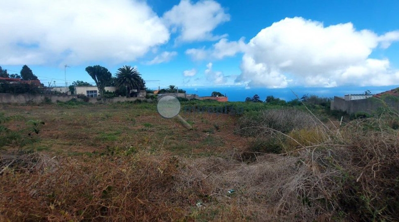 Santa Cruz de Tenerife - Tacoronte - 1200m2