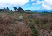 Sòl urbà en venda a Tacoronte ref.: TR110692 foto