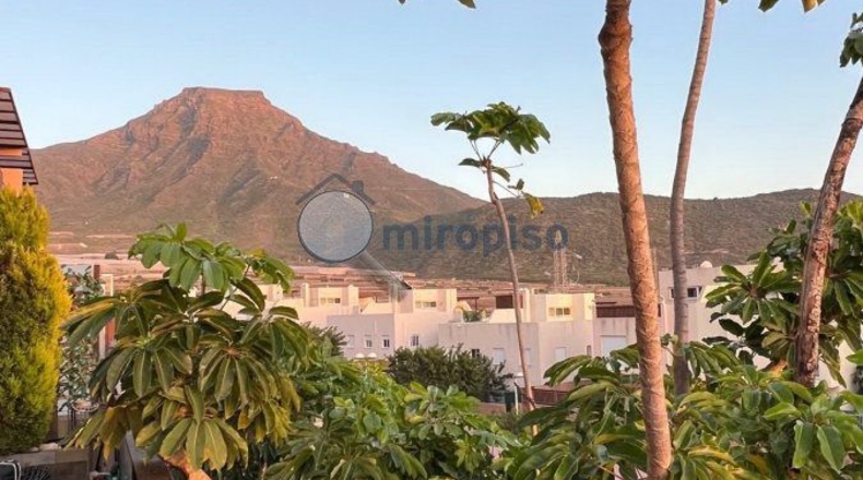 Santa Cruz de Tenerife - Adeje - 332m2