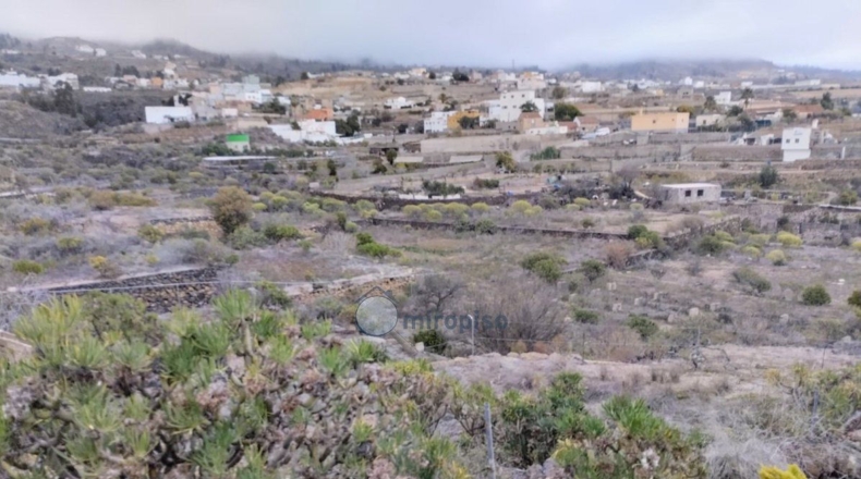 Santa Cruz de Tenerife - Granadilla de Abona - 25000m2
