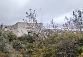 Parcel·la urbanitzable en venda a Granadilla de Abona ref.: TR232787 foto