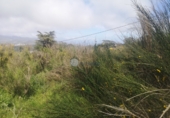 Terreno no urbanizable en venta en Santa Cruz de Tenerife ref: TR232772 foto