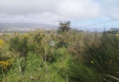 Terreno no urbanizable en venta en Santa Cruz de Tenerife ref: TR232772 foto