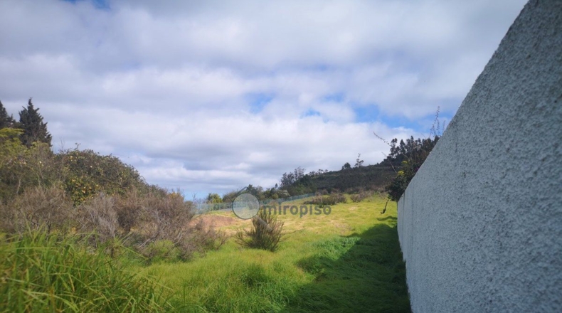 Santa Cruz de Tenerife - Santa Cruz de Tenerife - 6100m2
