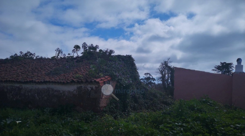Santa Cruz de Tenerife - La Esperanza - 2833m2