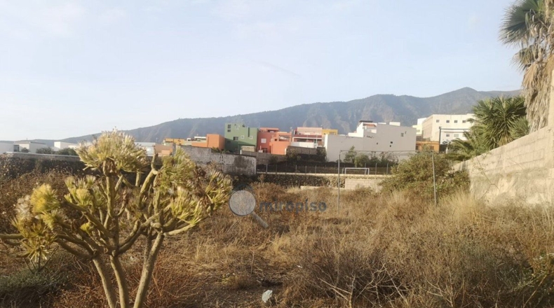 Santa Creu de Tenerife - Arafo - 1804m2