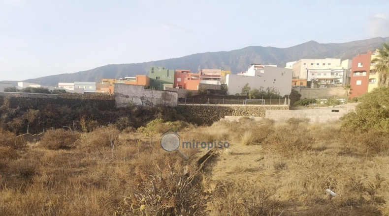 Santa Creu de Tenerife - Arafo - 1804m2