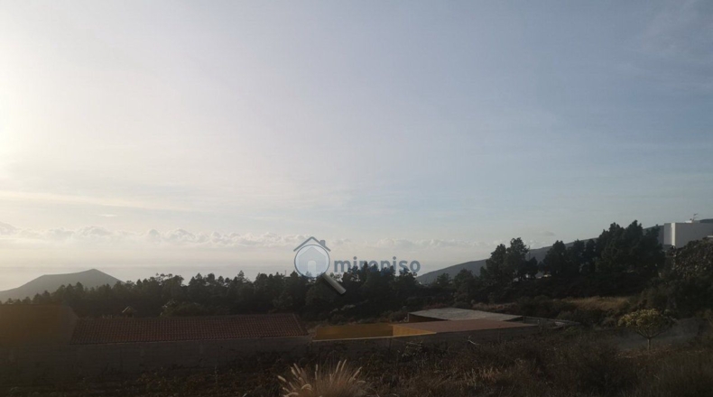 Santa Cruz de Tenerife - Arafo - 2655m2