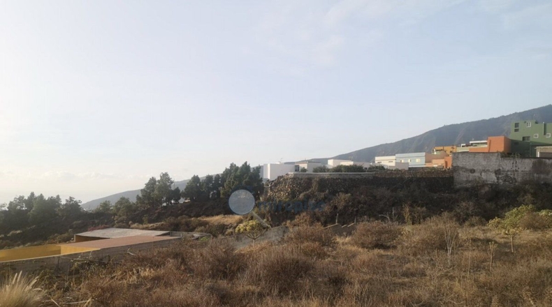 Santa Cruz de Tenerife - Arafo - 2655m2