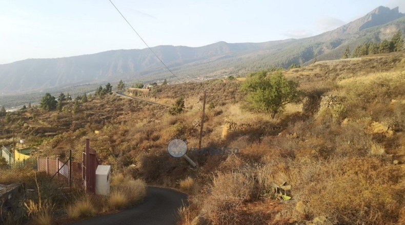 Santa Creu de Tenerife - Arafo - 3800m2
