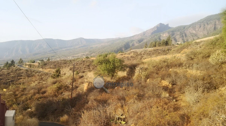 Santa Creu de Tenerife - Arafo - 3800m2