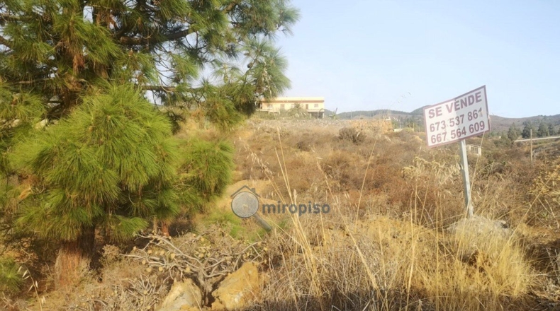 Santa Creu de Tenerife - Arafo - 3800m2
